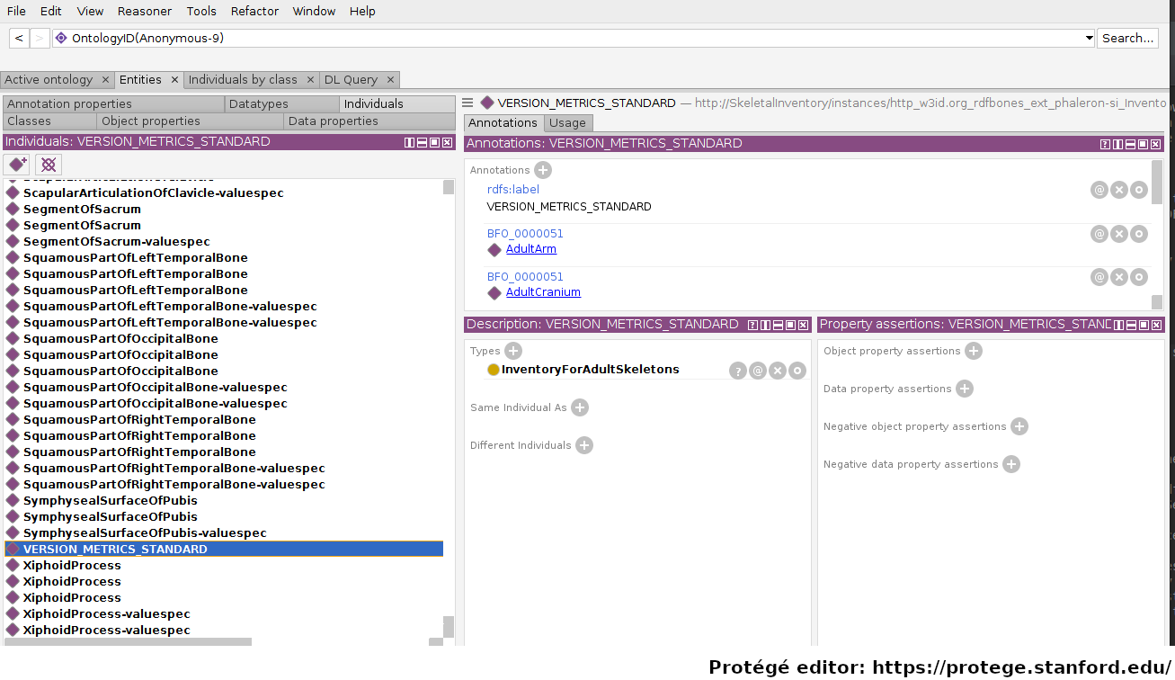 ../_images/data_instance_protege.png